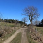 © Le Puy de Montchaud - PR 15 - Anne Massip