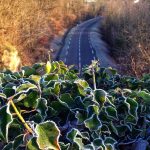 © Sentier Pierre sur autre - OT FOREZ-EST MC
