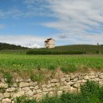 © GR®765 et Chemin de St-Jacques-de-Compostelle Cluny/Le-Puy-en-Velay Etape Montverdun - Montbrison - Anne Massip