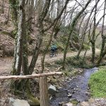 © Sentier le bois de la dame - OT FOREZ-EST TR