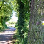 © Sentier les baladins - OT FOREZ-EST CP