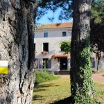 © Sentier les baladins - OT FOREZ-EST CP