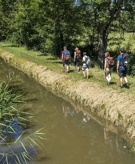 Randonnée Pédestre Canal Forez - Loire Forez