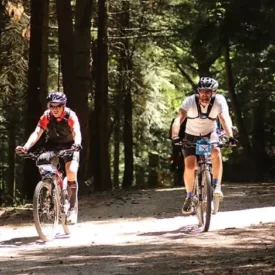 Randonnée VTT Cyclo - Loire Forez