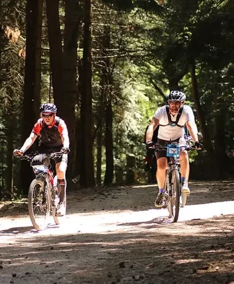 Randonnée VTT Cyclo - Loire Forez