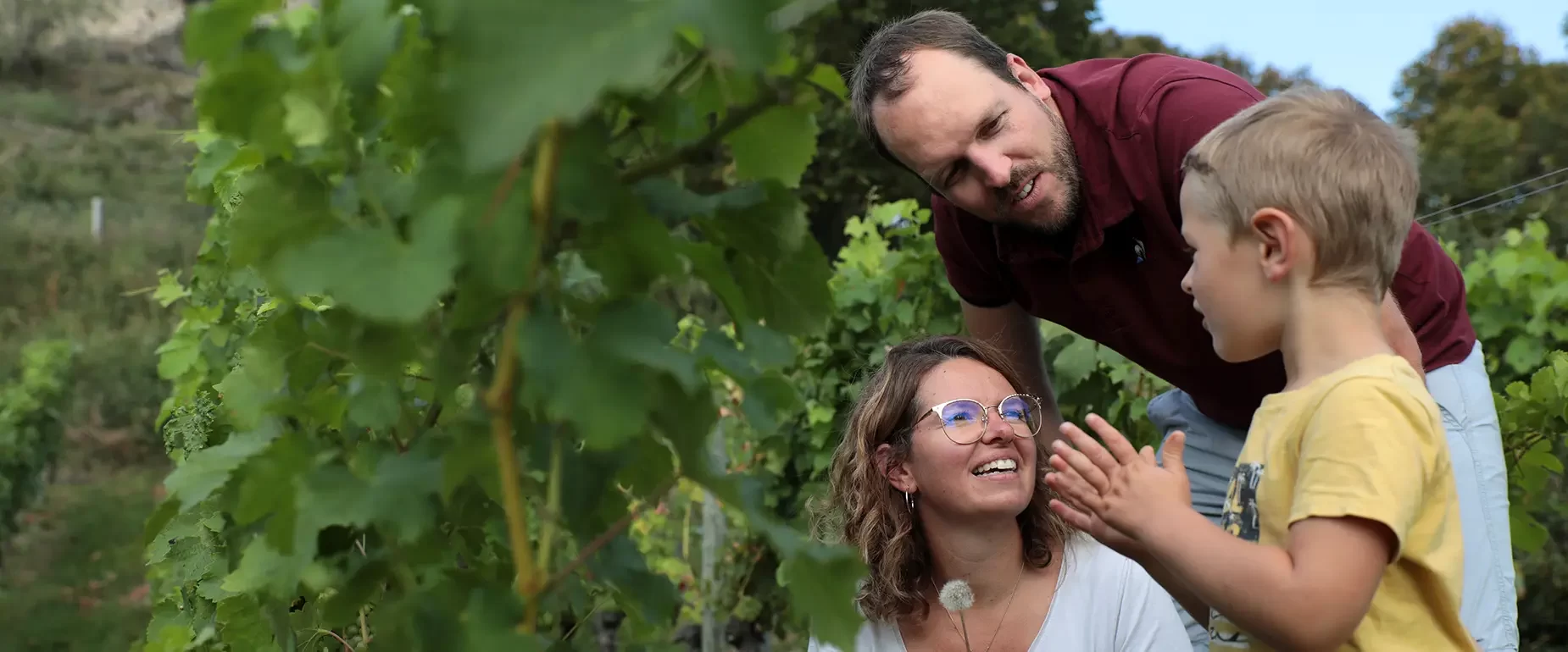 Vignes du prieuré de Saint-Romain-Le-Puy | Loire Forez