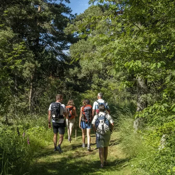 Randonnées pédestres Loire Forez - Nos sentiers