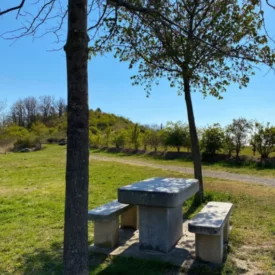 Aire de pique-nique de la Madone à Champdieu