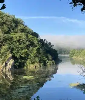 Bords de Loire - Digue de Pinay