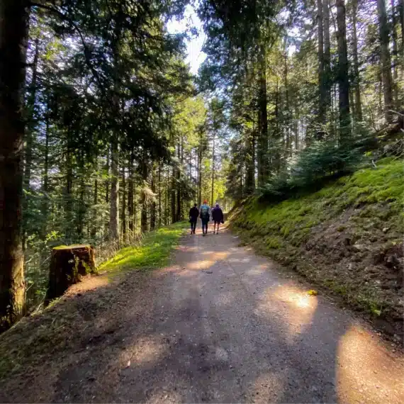 Sentier de la cascade de Chorsin