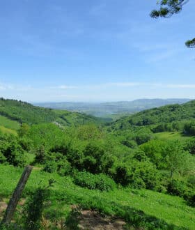 Chez nos voisins- Monts du Lyonnais paysage