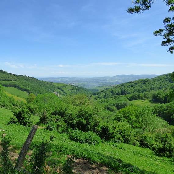 Chez nos voisins- Monts du Lyonnais paysage