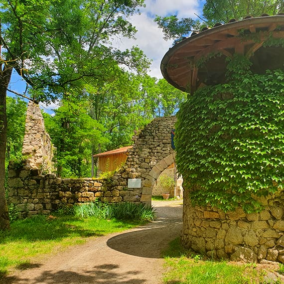 Découverte site médiéval de Donzy, Salt-en-Donzy Explorez les anciennes ruines médiévales