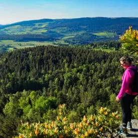 Rocher de l'Olme à Chalmazel 42