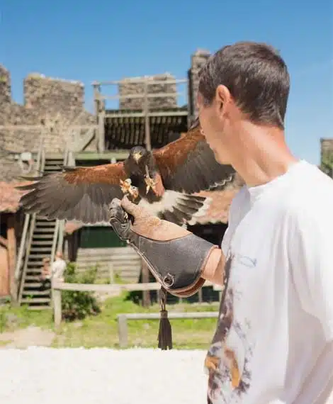 The Volerie du Forez, an impressive bird park