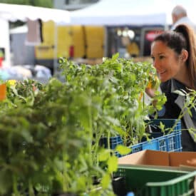 Marché de Feurs Loire