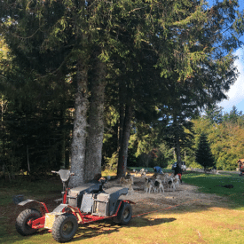 Cani-kart au Col de la Loge Loire 42