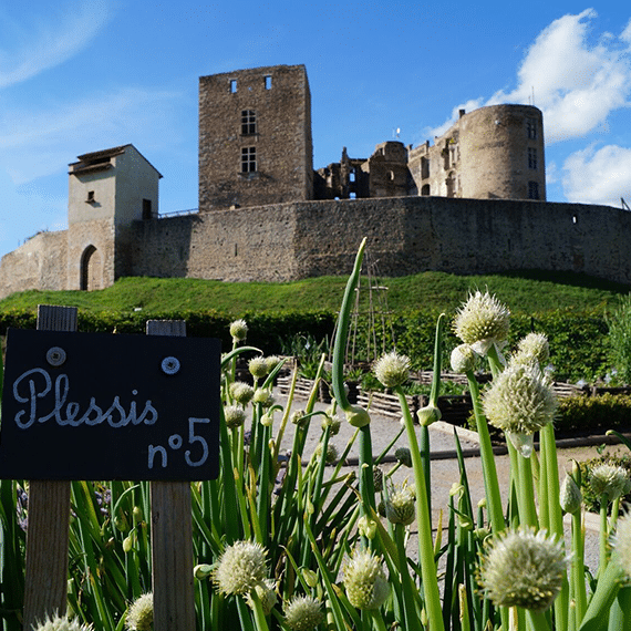 Château de Montrond-les-Bains Loire 42