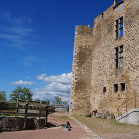 Château de Montrond-les-Bains 42