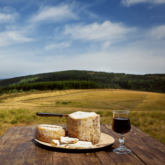 Fourme et Côtes du Forez