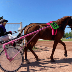 Hippodrome de Feurs