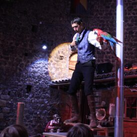 Spectacle enfant Volerie du Forez 42