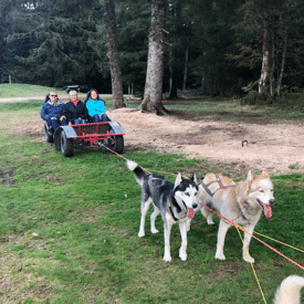 Activité enfant Cani-kart au Col de la Loge