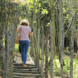 Activités nature pour enfant Loire