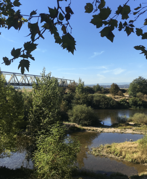 GRP® Autour des Gorges de la Loire (1)