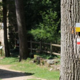 Randonnée - sentier du monorail Loire 42