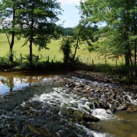 Randonnée Loire Sentier des moulins