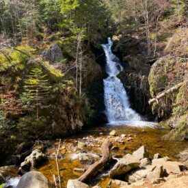 Vallée sauvage de Chorsin 42