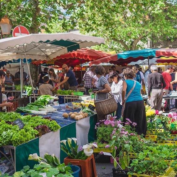 Markets and local producers