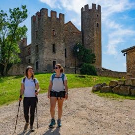 Top 10 - Les Gorges de la Loire, randonnée au Château d'Essalois