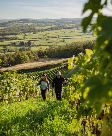 GRP Côtes du Forez nord, passage par La Madone de Champdieu