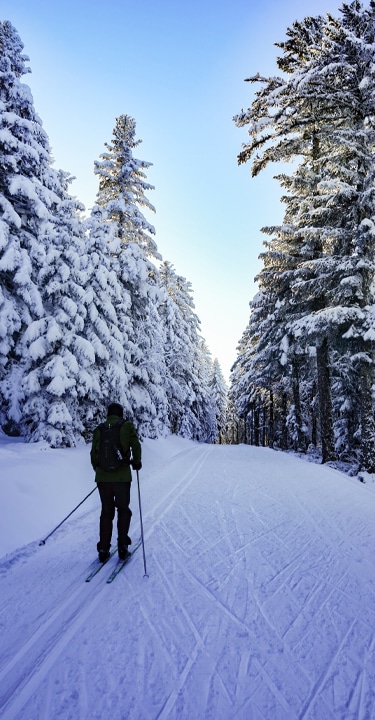 Ski de fond au Col de la Loge